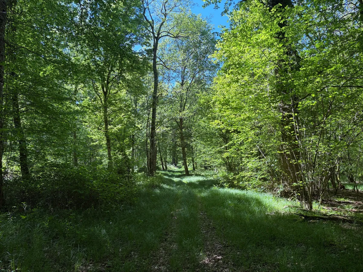 VTT électrique De Lamarche-sur-Saône à Pontailler par le bord de Saône et la forêt · Lamarche-sur-Saône