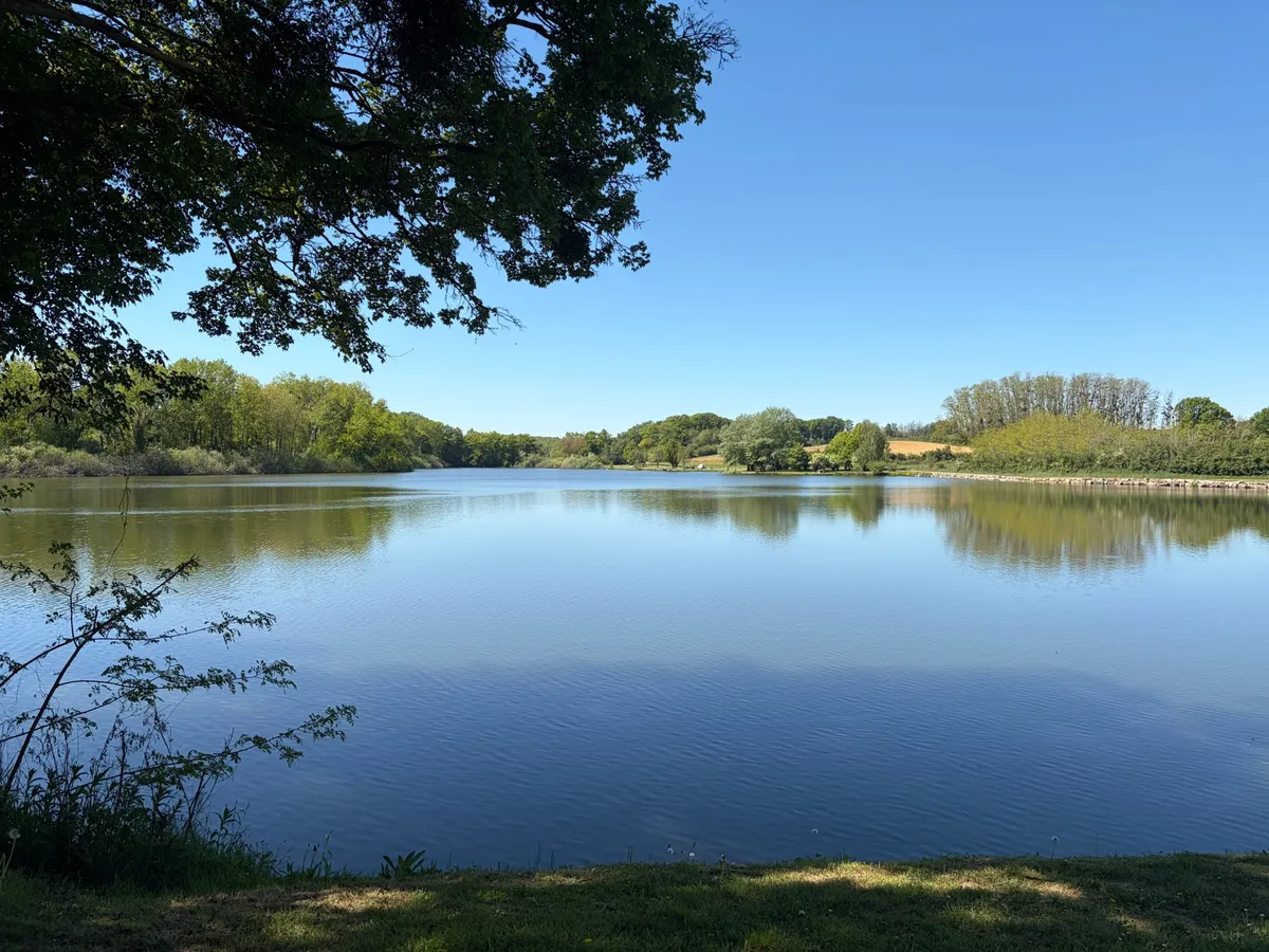 Randonnée Le tour de l’Etang du Milieu · Lamarche-sur-Saône