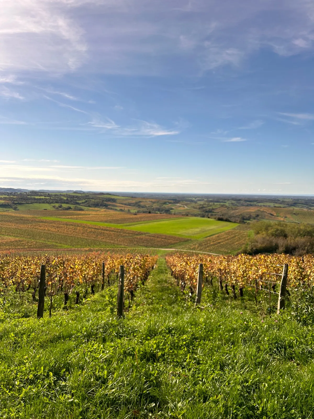 Randonnée Arbois à Pupillin par la chapelle de l’Ermitage · Arbois