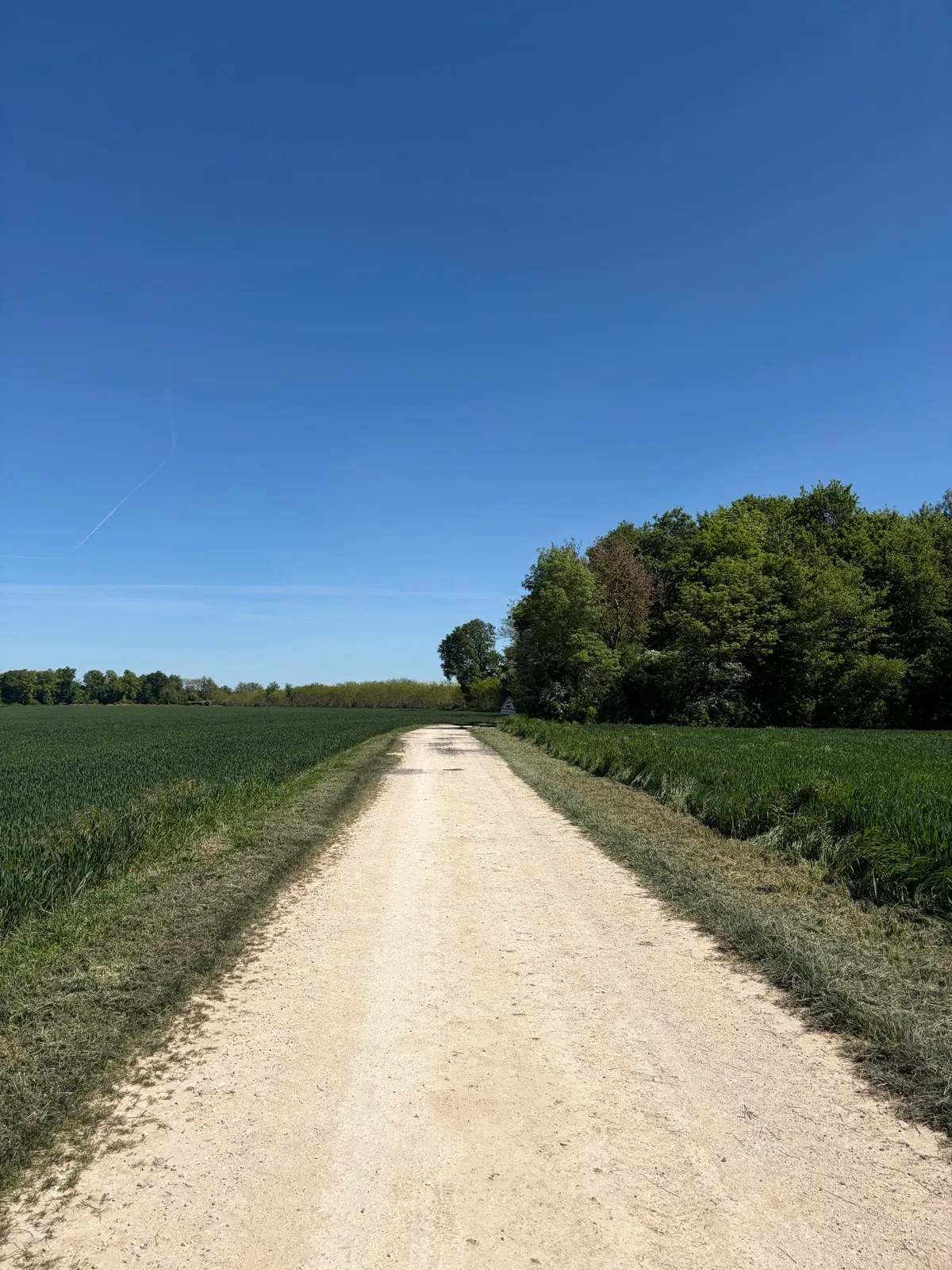 VTT Boucle de Lamarche à Montmançon · Lamarche-sur-Saône