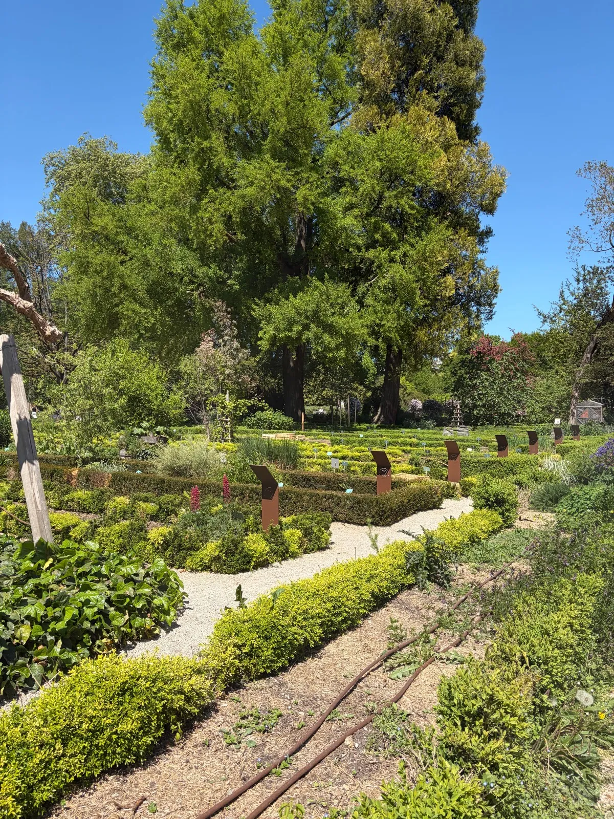 Randonnée Le Jardin de l’Arquebuse · Dijon