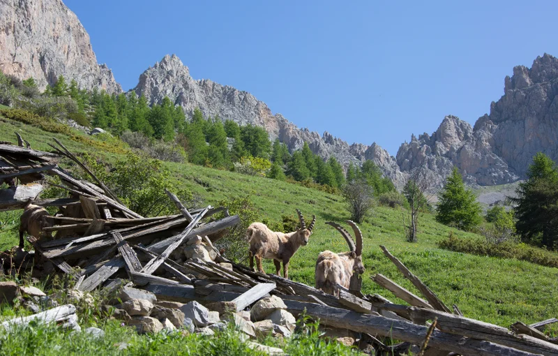 Randonnée Col de Cloche et Baume Longe · Uvernet-Fours