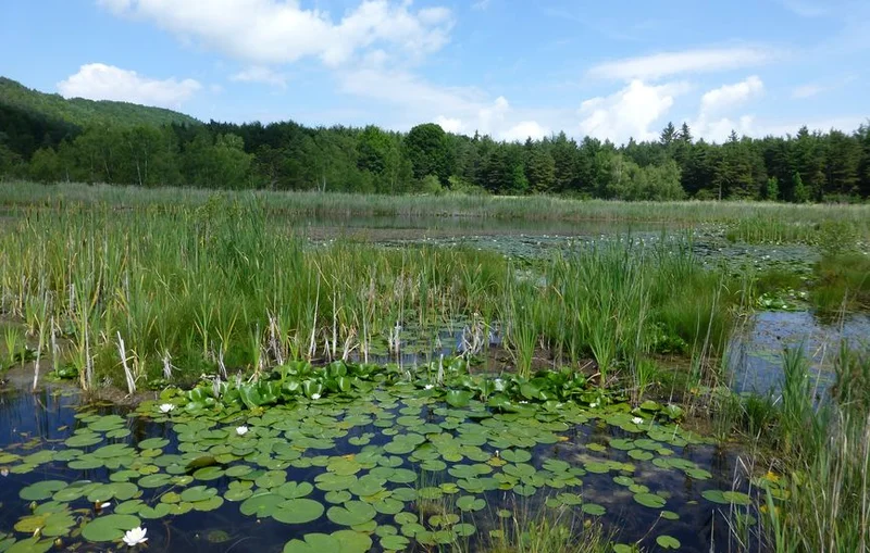 Randonnée Lac et église de Saint-Léger · Montclar