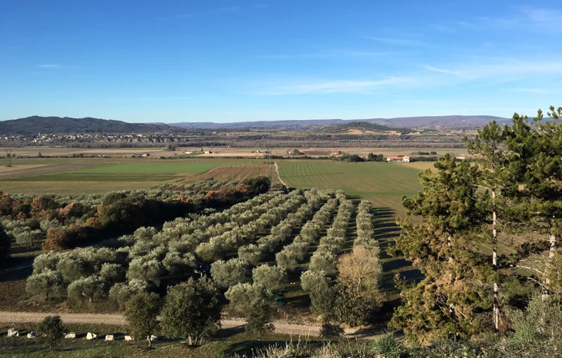 Randonnée Bois de Saint-Martin · Oraison