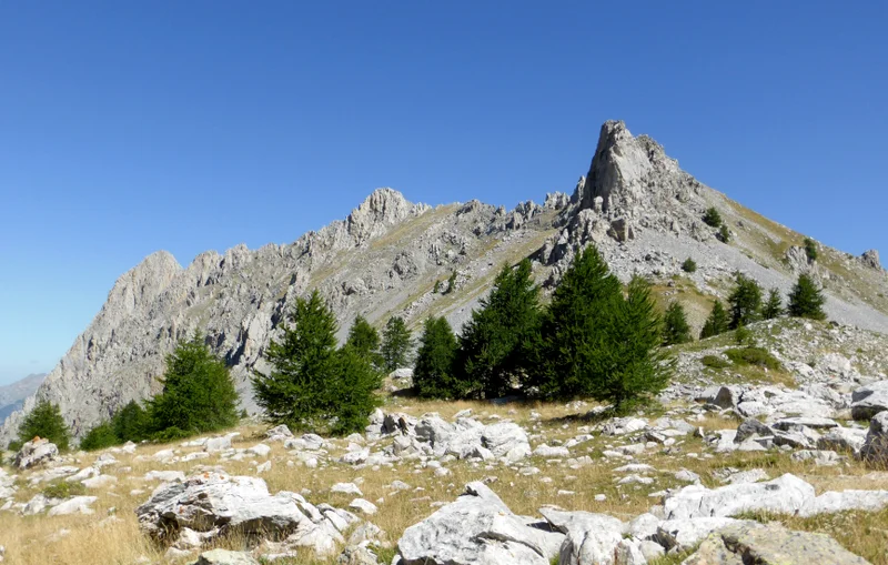 Randonnée Col de Terre Blanche · Méolans-Revel