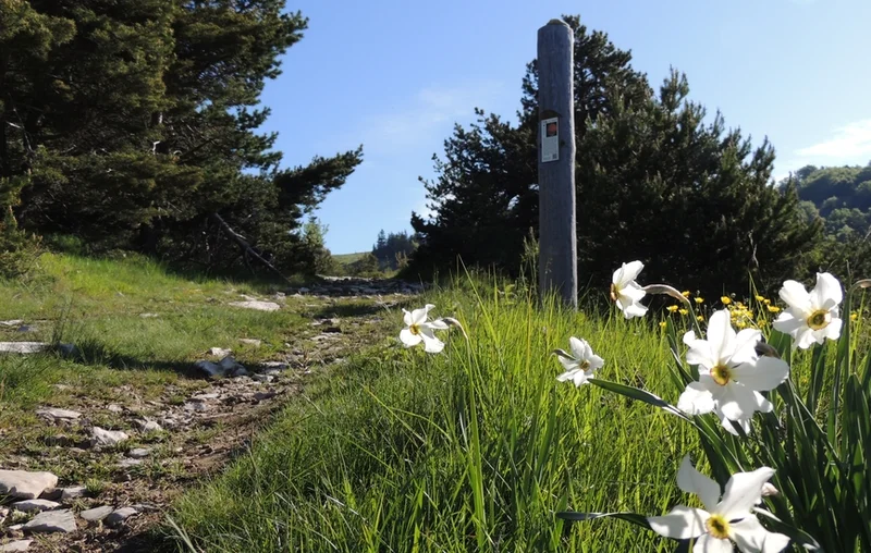 Randonnée Sentier des planètes (version courte) · Saint-Étienne-les-Orgues
