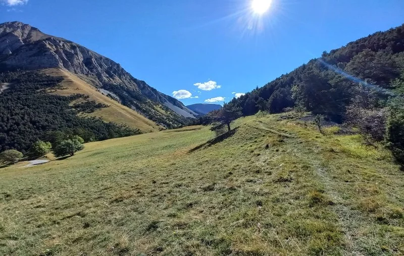 Randonnée Bois de la Julie · Prads-Haute-Bléone