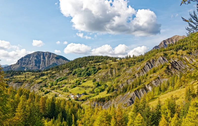 Randonnée Chemin du facteur · Allos