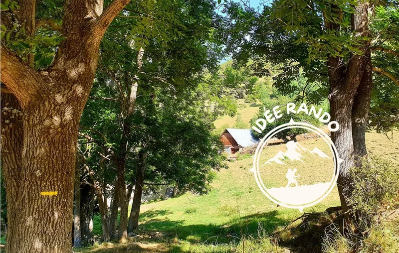Randonnée Plateau de Montgros · Allos