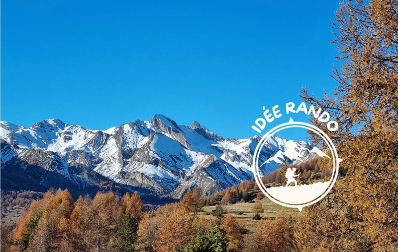 Randonnée Le Pont à Montgros · Allos