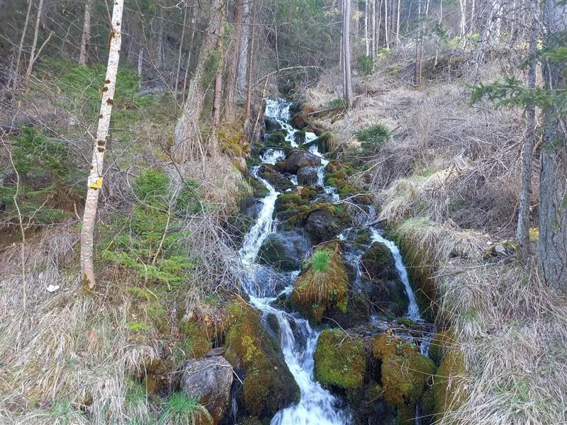 Randonnée Sentier Passaloup · Méolans-Revel