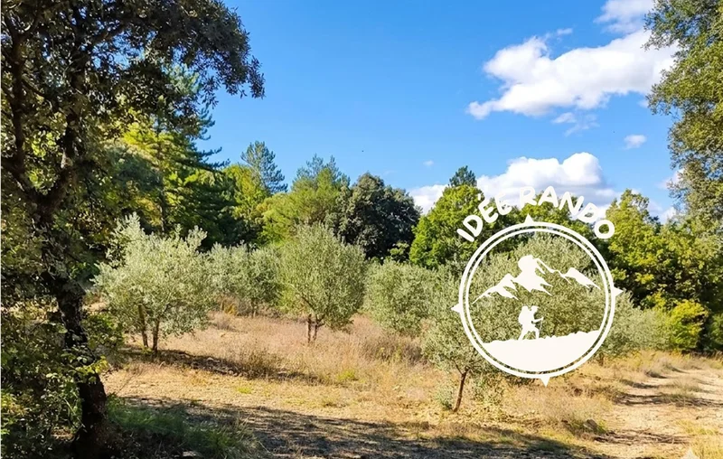Randonnée Chemin de la Colle · Les Mées
