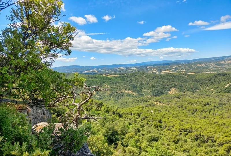 Randonnée Forêt du Prieuré · Ganagobie