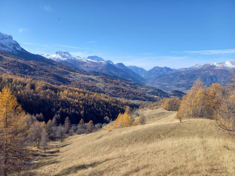 Randonnée Circuit du Vivier · Enchastrayes