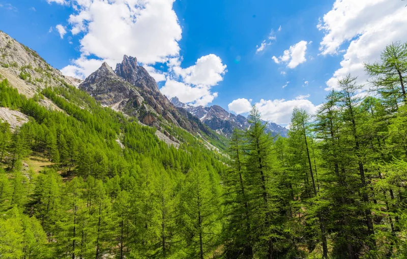 Randonnée Ubaye - Pays du Viso en 6 jours (GRP®) : La frontière fortifiée · La Condamine-Châtelard