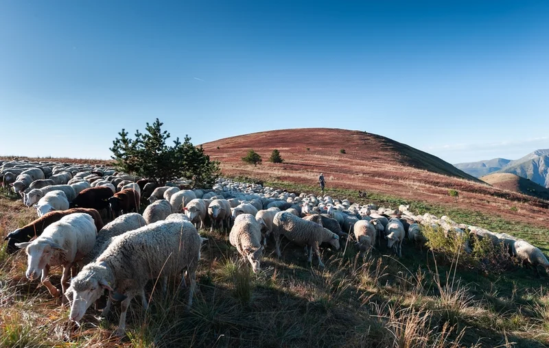 Randonnée La Routo (GR®69), dans les pas de la Transhumance · Vinon-sur-Verdon