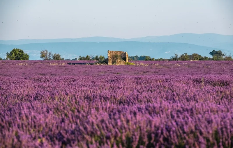 Randonnée La Routo (GR®69), le plateau de Valensole en 4 jours · Vinon-sur-Verdon
