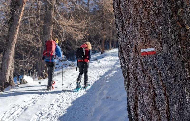 Raquettes Piste du Bois de la Silve (parcours raquettes) · Val-d'Oronaye