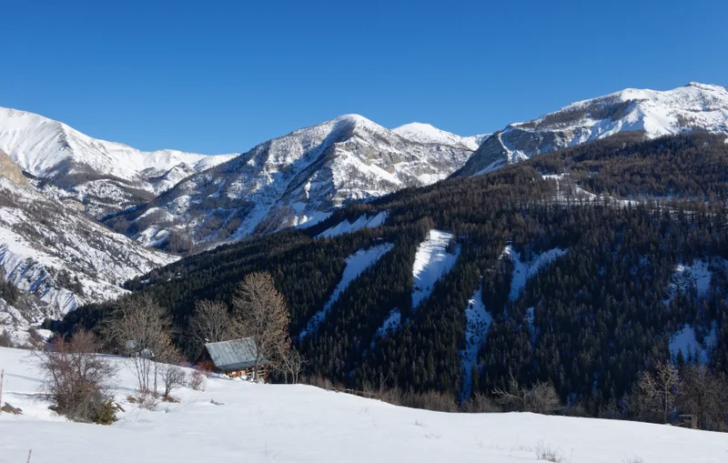 Raquettes Forêt de Vacheresse (parcours raquettes) · Allos