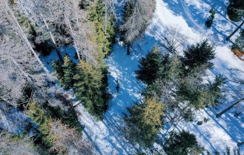 Raquettes Cabane Vieille ou la Balade à JP (parcours raquettes) · Colmars
