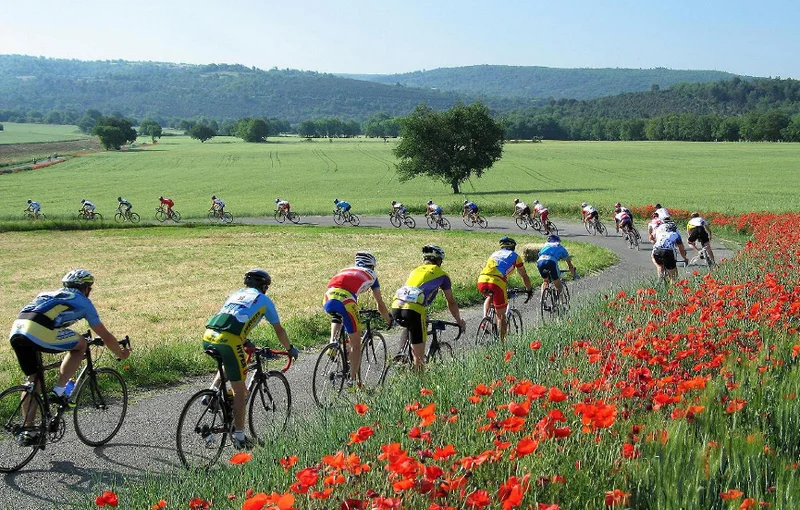 Vélo de route Le plateau de Valensole (parcours vélo n°17) · Gréoux-les-Bains