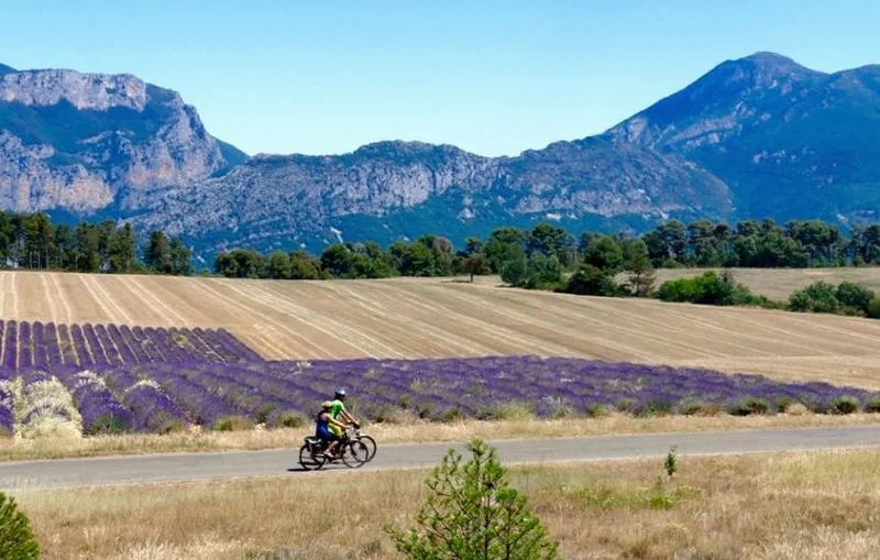 Vélo de route La Romaine (Parcours vélo n°15) · Riez