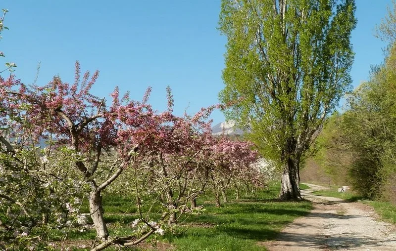 VTT Les Vergers (parcours VTT n°2) · Ribiers