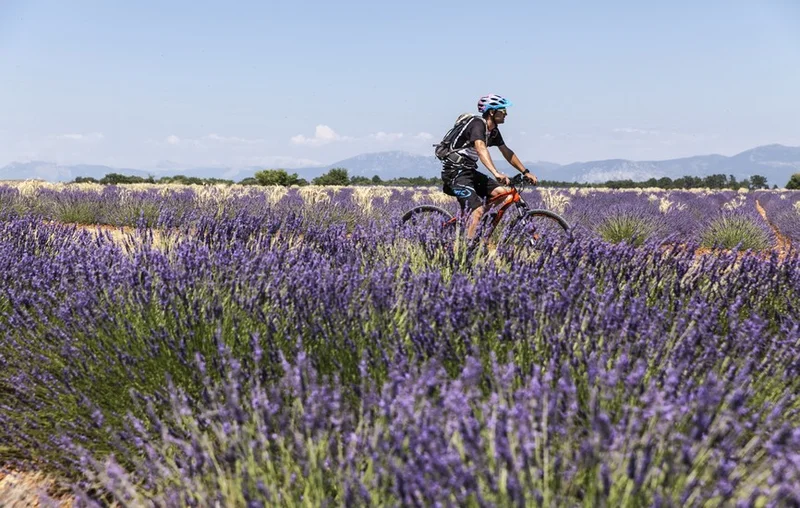 VTT Plaine de Millarettes (parcours VTT N°1) · Riez