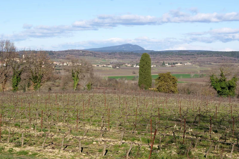 Randonnée Le Chemin de Bellevue · Cruviers-Lascours