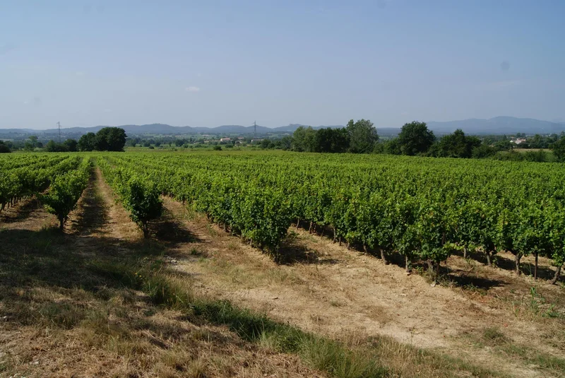 Randonnée Le chemin des crêtes · Saint-Jean-de-Serres