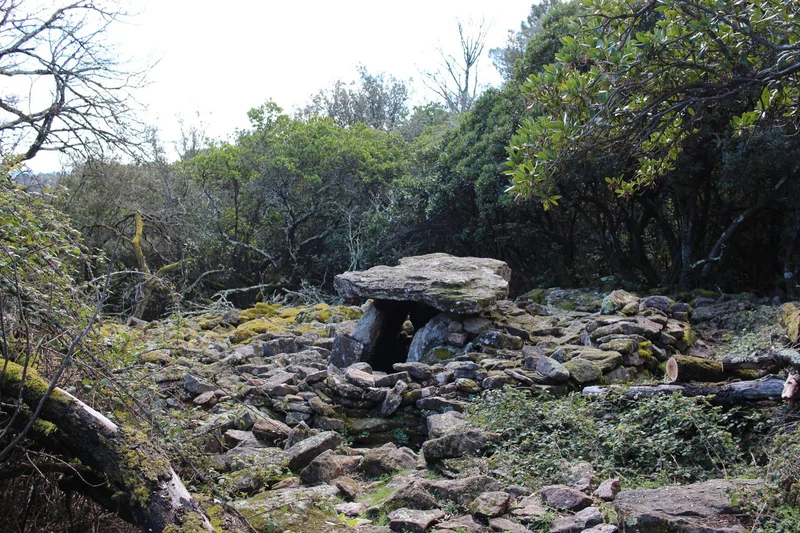 Randonnée Les Capelans · Anduze