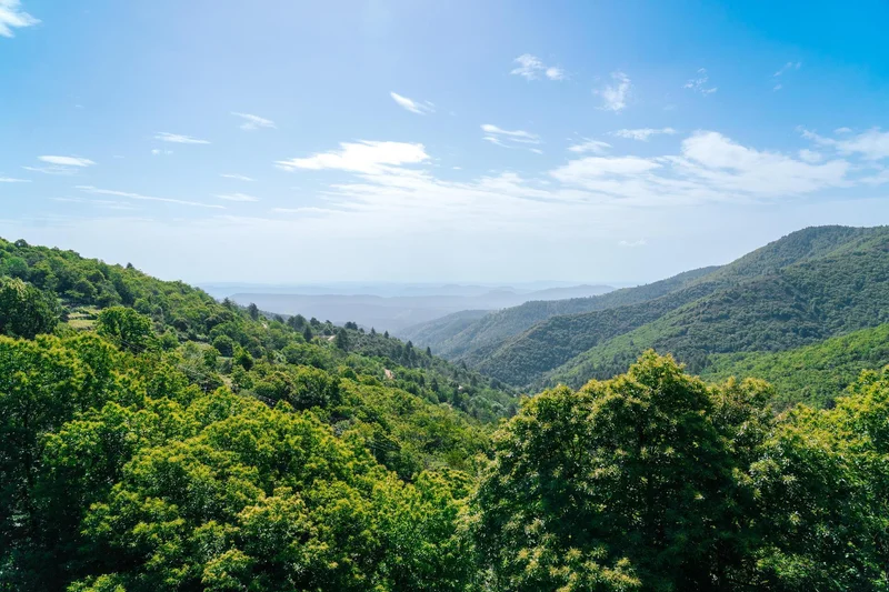 Randonnée Les Allègres · Bonnevaux