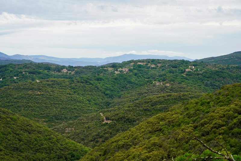 VTT Des anciennes mines au Mont Redon · Saint-Sébastien-d'Aigrefeuille