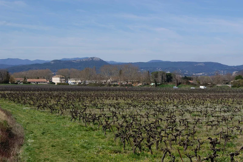 Vélo de route Des voies vertes au vignoble de Lézan · Anduze