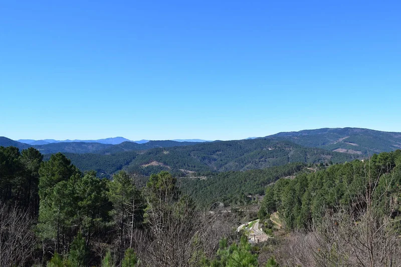 Vélo de route La route de la châtaigne des Cévennes · Alès