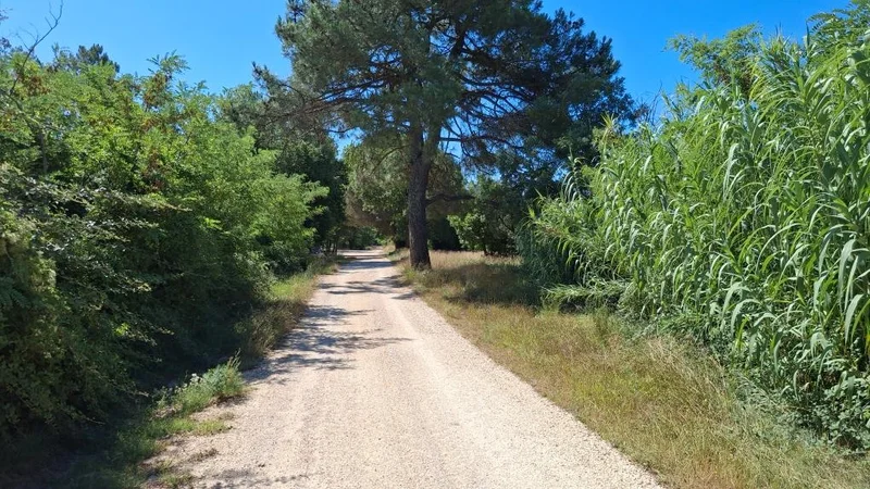 Vélo de route À la découverte d'Uzès · Euzet