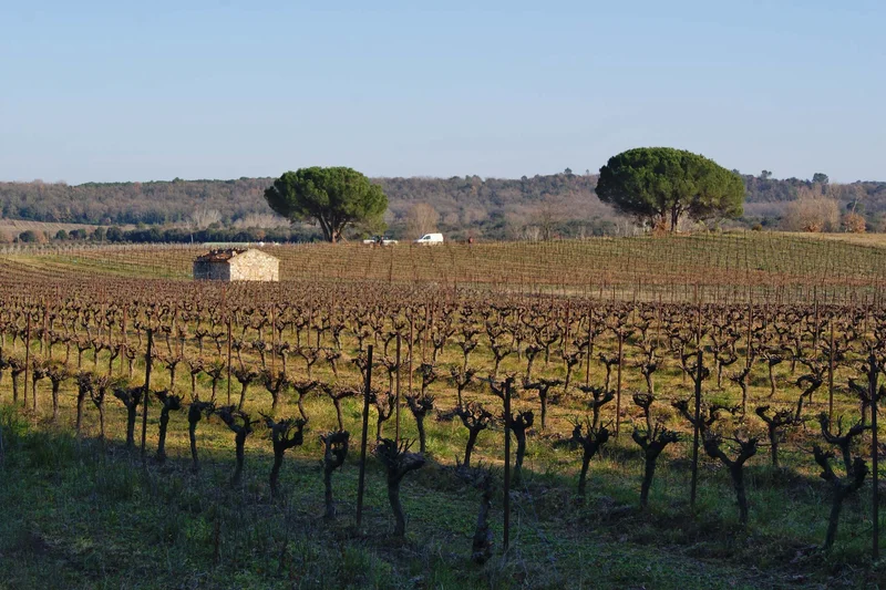 Vélo de route Boucle des Camisards · Saint-Césaire-de-Gauzignan