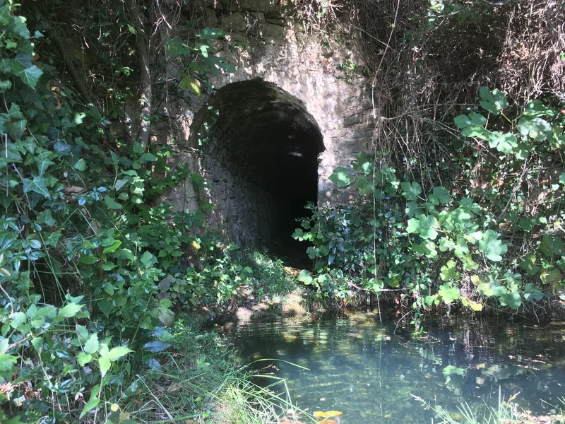 Randonnée Sentier patrimonial Boucle 1 · Saint-Sébastien-d'Aigrefeuille