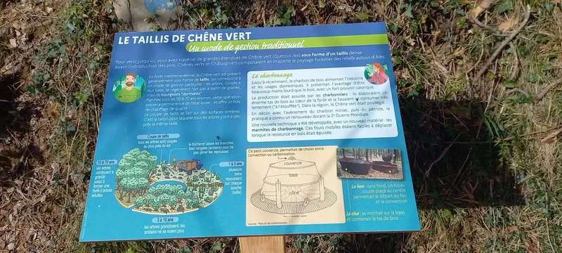 Randonnée Le Sentier forestier · Saint-Jean-du-Pin