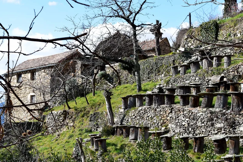 Randonnée La Cézarenque · Aujac