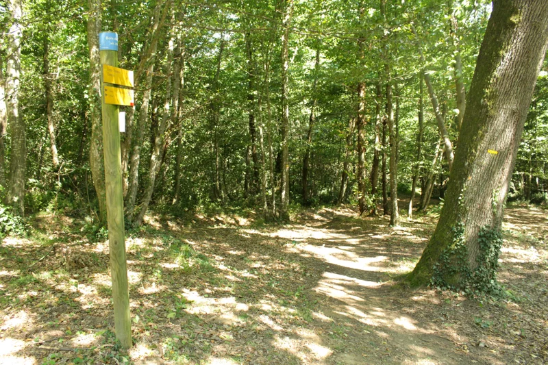 Randonnée Le bois de Bard · Charmes-sur-l'Herbasse