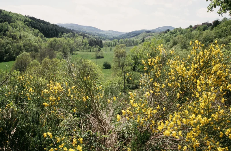 Randonnée Le Moulin de Maninet · Colombier-le-Jeune
