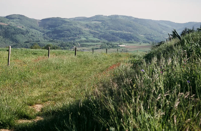 Randonnée D'une crête à l'autre · Colombier-le-Jeune