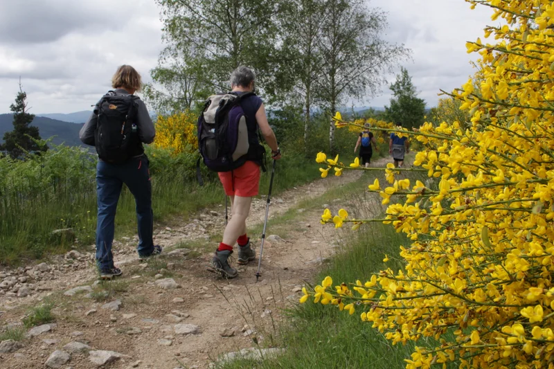 Randonnée Le Col du Marchand · Pailharès