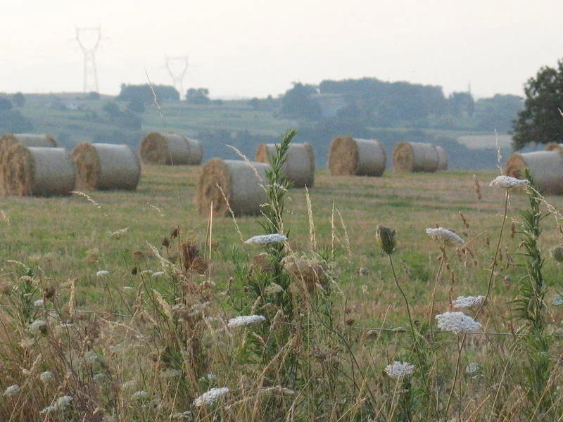 Randonnée Le Serre du Puy · Plats