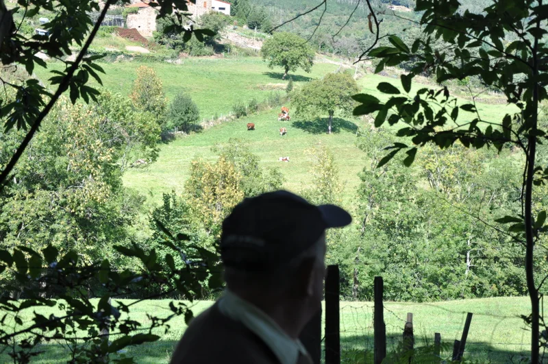 Randonnée La Daronne · Saint-Félicien