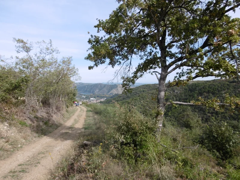 Randonnée Chemins panoramiques · Tournon-sur-Rhône