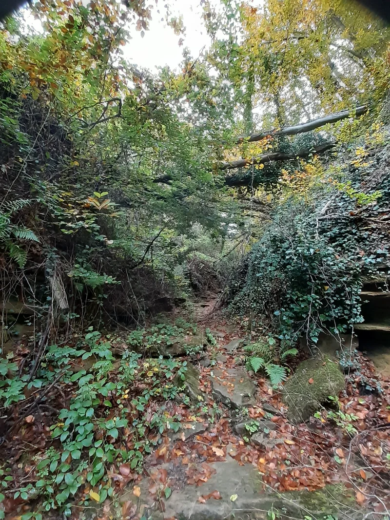 Randonnée Combe de Chaloray · Bren