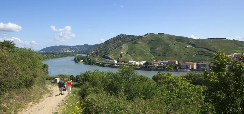 Randonnée Boucle de Tain Tournon sur Rhône · Tain-l'Hermitage