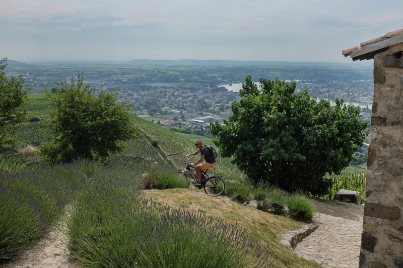 Randonnée Tour de Pays VTT de la Drôme des Collines · Tain-l'Hermitage